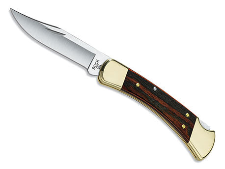 Buck folding hunter 110.